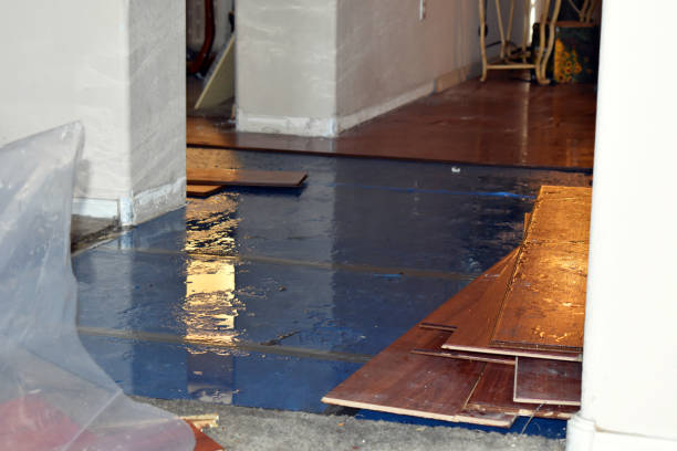 Professional Burst Pipe Cleanup technician working in Courtland, VA